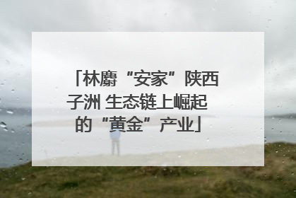 林麝“安家”陕西子洲 生态链上崛起的“黄金”产业